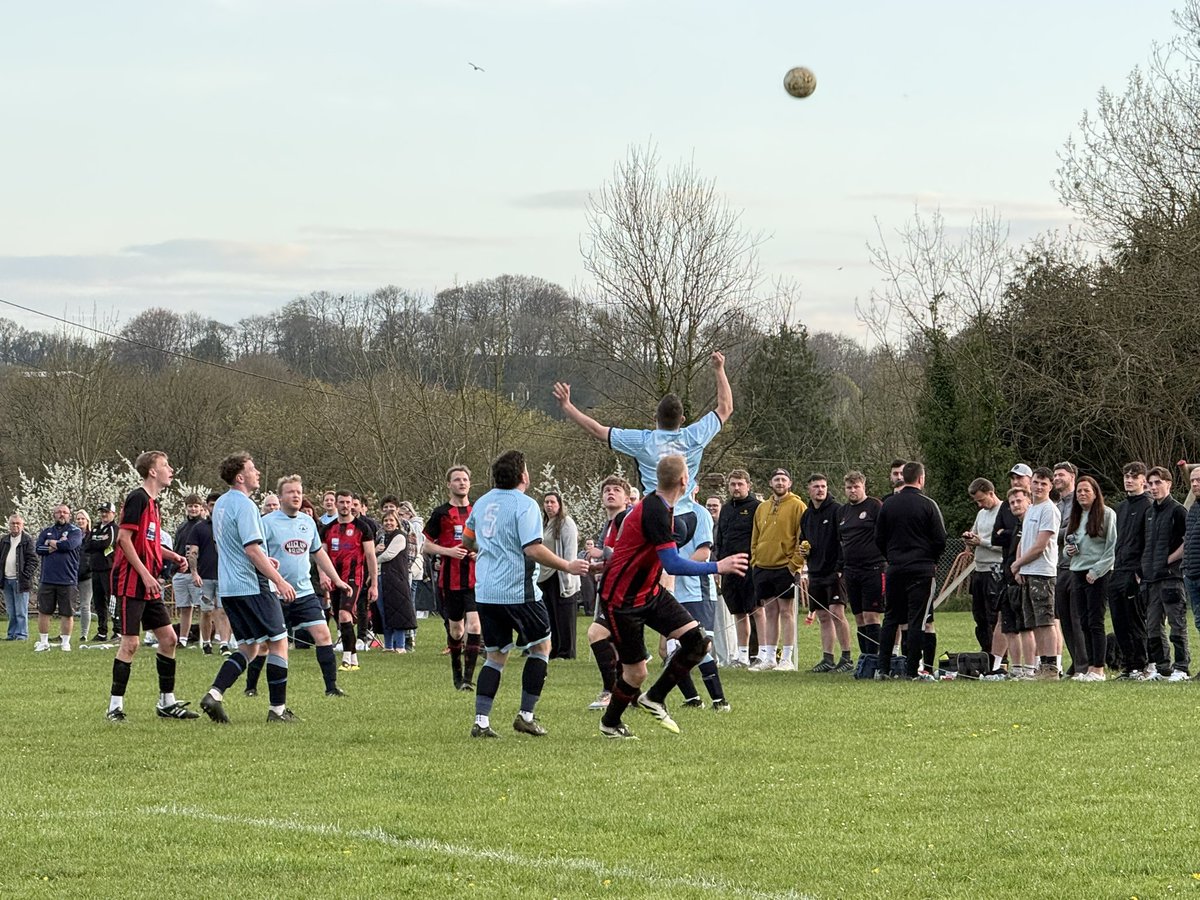 dorsetdom ⭐️⭐️ tweet media