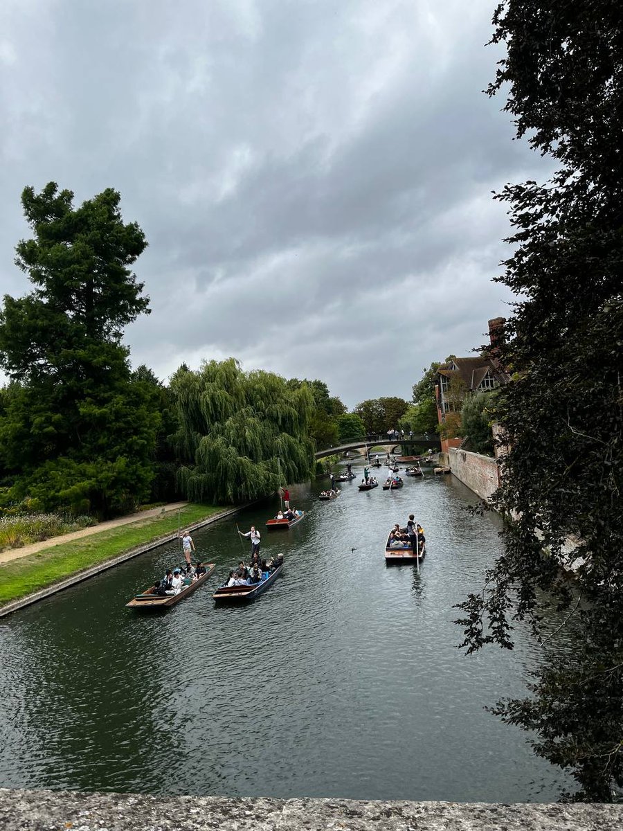 Adrian Mitchell tweet media