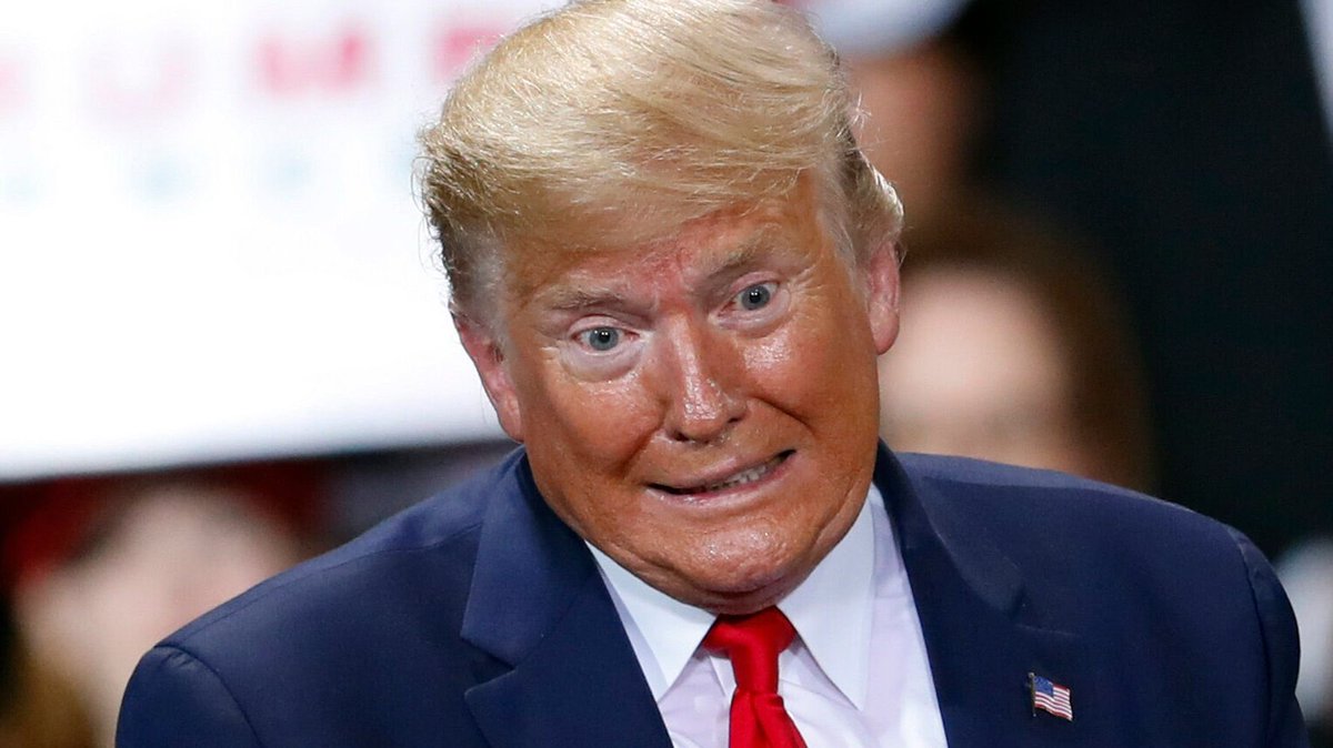 Levin Inches™ tweet media