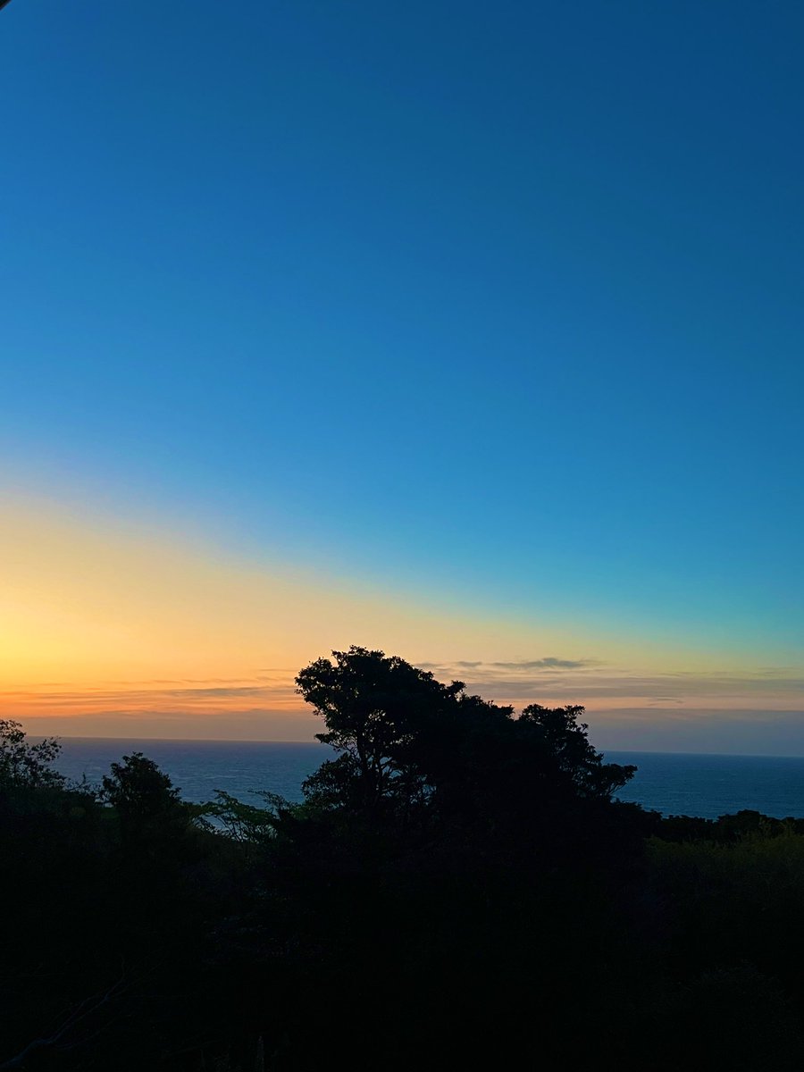 🌸同感🌸 tweet media