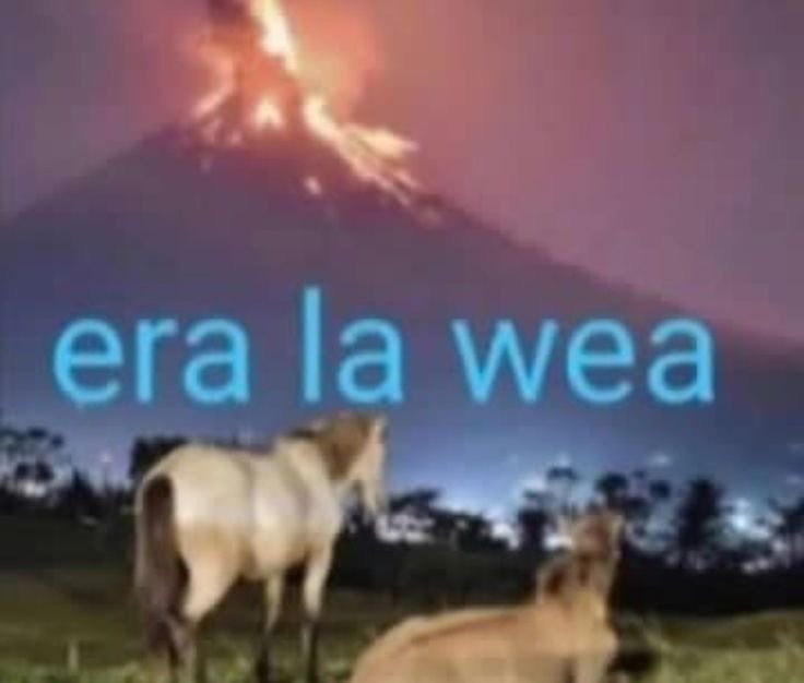 helen ⛧ (@nosoygorda) on Twitter photo 