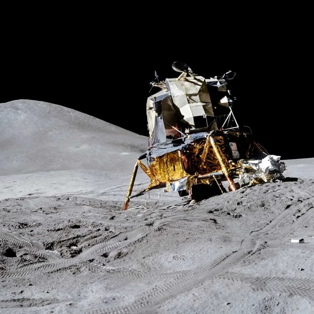 Black Hole tweet media