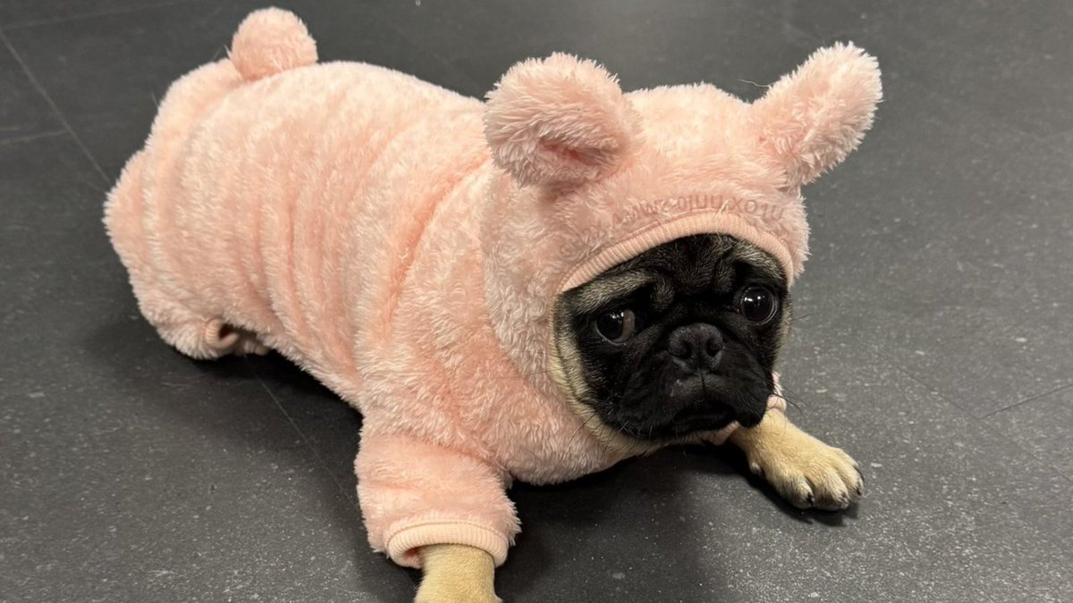 The Workers tweet media