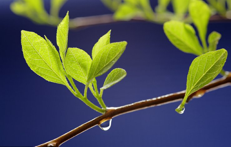 drift21's tweet photo. Growth isn’t about being perfect overnight—it’s showing up, learning small lessons, and trying again. Every "not yet" is a step closer to "now." https://t.co/3IWLdJSyqd