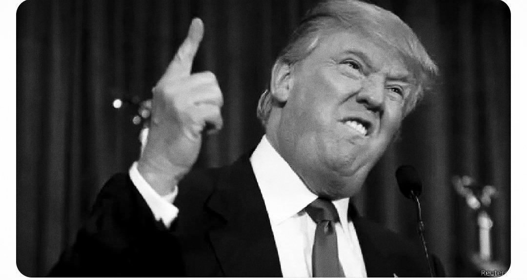 Lucek™ tweet media