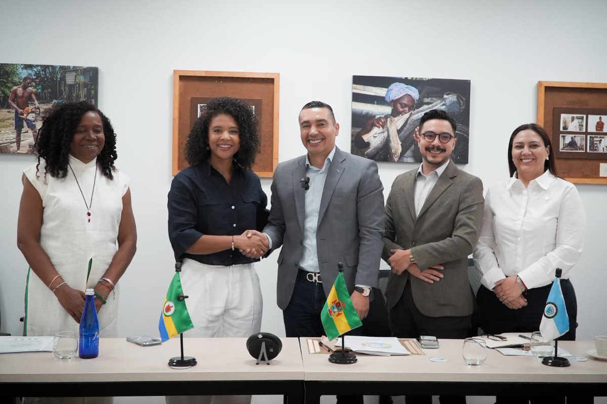 OCTAVIO GUZMÁN tweet media