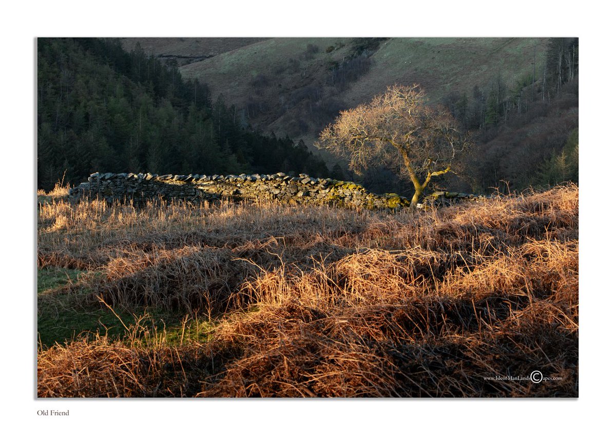 IsleofManLandscapes tweet media