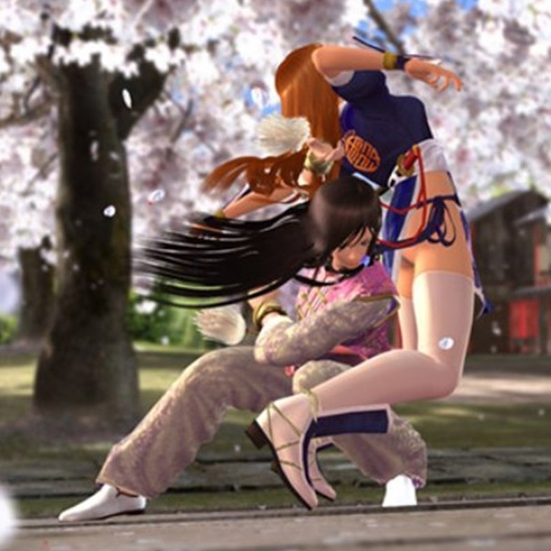 Official DEAD OR ALIVE Fighting Game tweet media