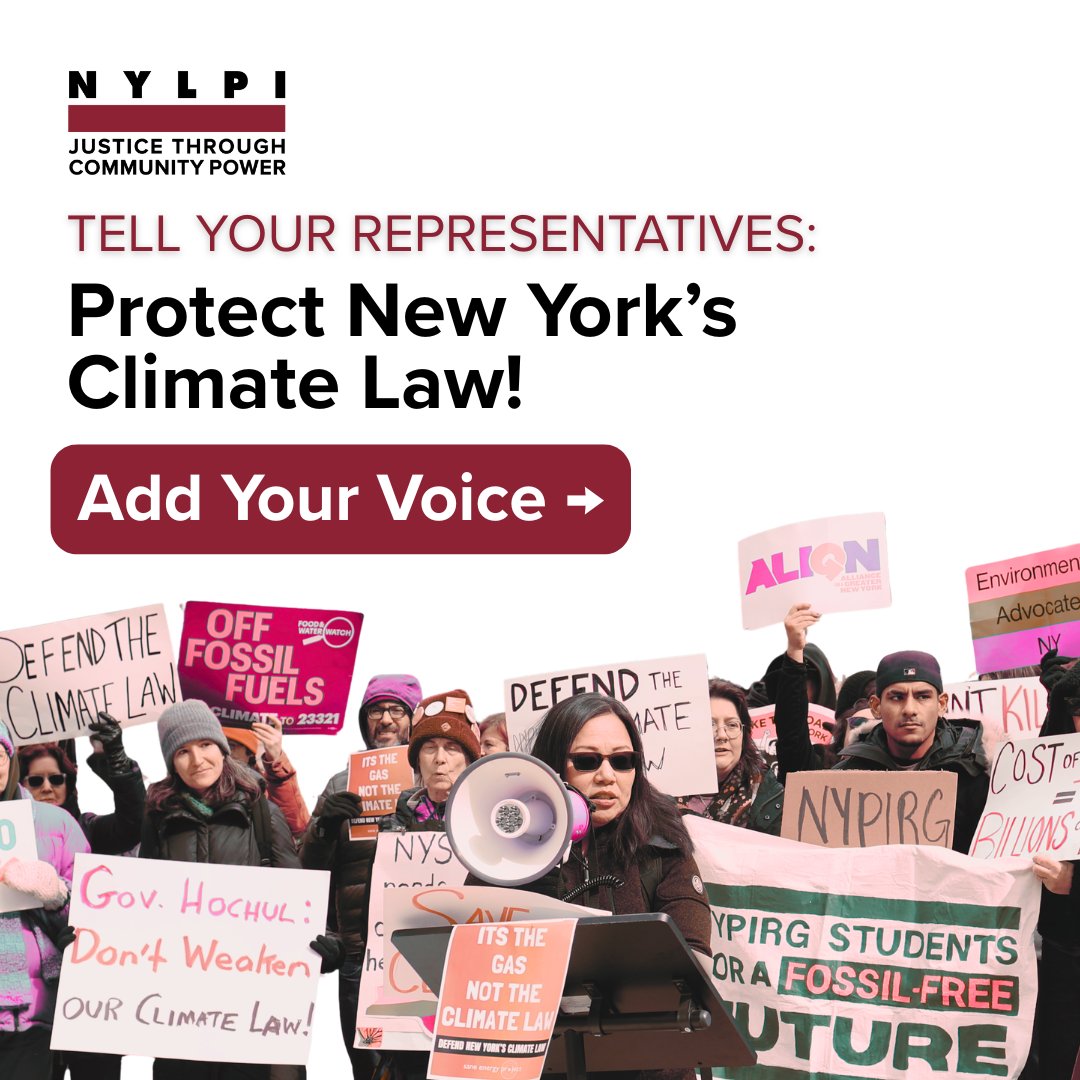 NYLPI tweet picture