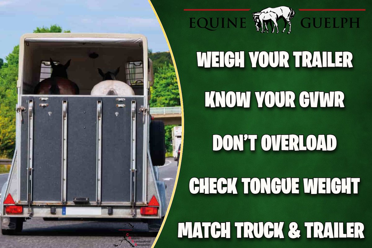 COSATV's tweet photo. 🚨 Trailer safety matters 🚨Most rigs are overweight once loaded 🐴
Know your limits (GVWR, payload, tongue weight) to stay safe &amp; legalDon’t risk it—learn &amp; tow smart 💪 https://t.co/7ifbs9phBY
