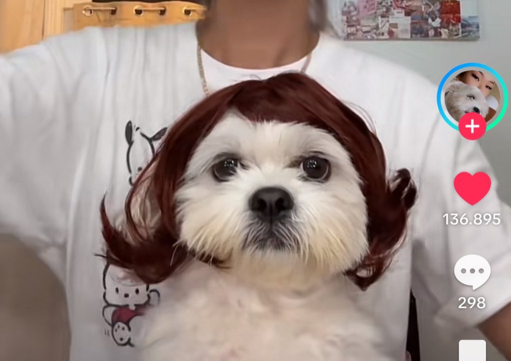 nini ᑦ(◕ ᴗ ◕⁎)ᐣꕤ*.ﾟ tweet media