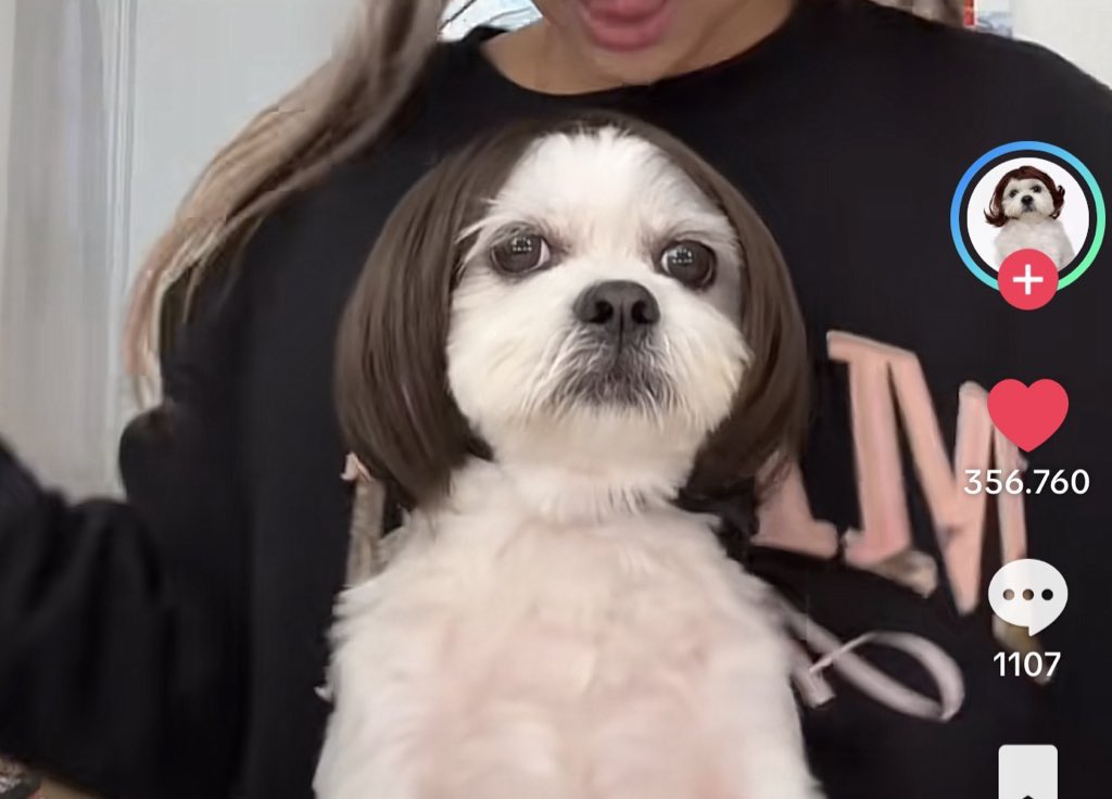 nini ᑦ(◕ ᴗ ◕⁎)ᐣꕤ*.ﾟ tweet media