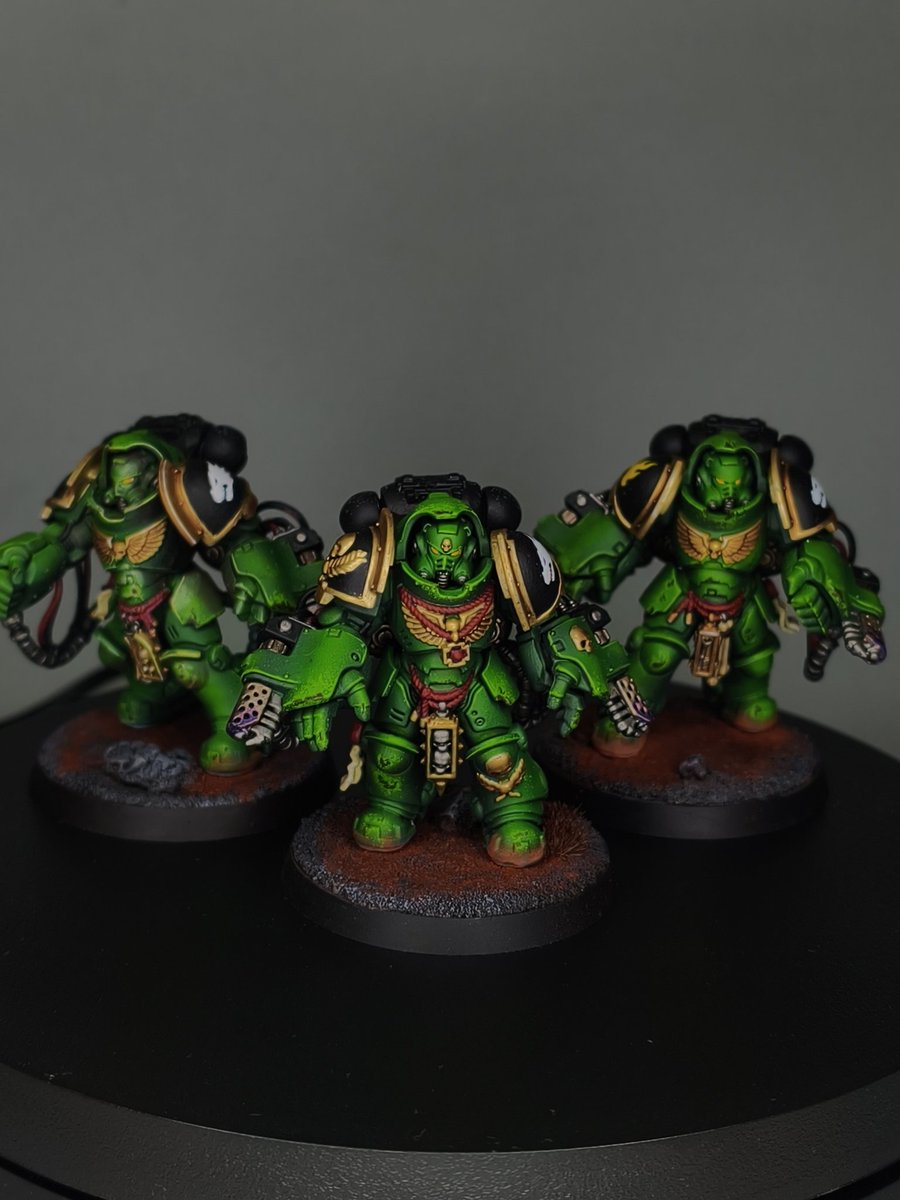 Sutu 🦎 tweet media