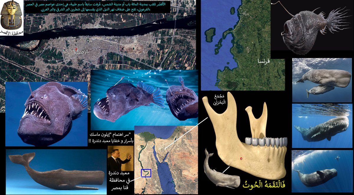 مَرْيَمُ بِنْتُ عِمْرَانَ🕋 tweet media