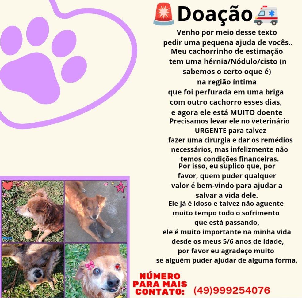 Jiji_C7's tweet image. Agradeço qualquer ajuda desde já ❤️‍🩹🙏🏼
#SOS  #Doação  #Ajuda