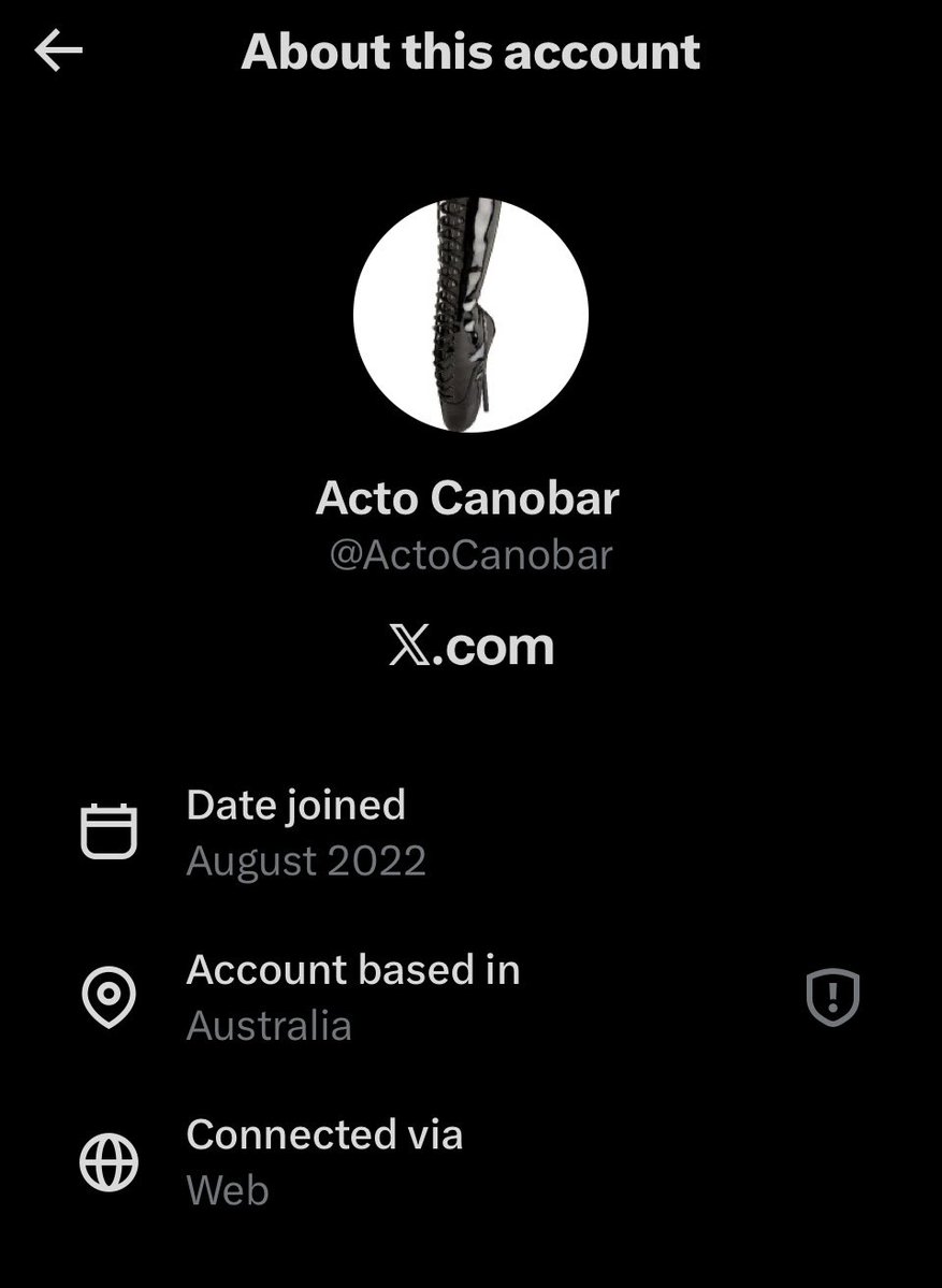 MAGA Kitty tweet media