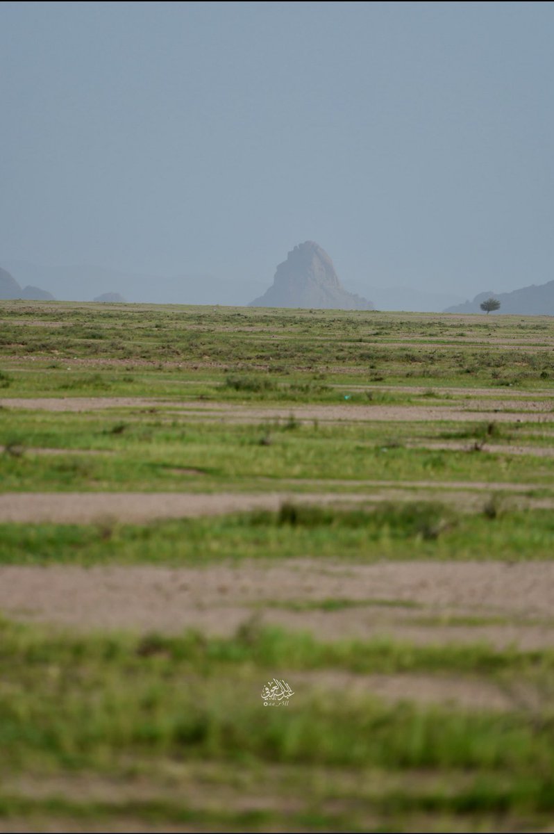 ابو طارق السليمي tweet media