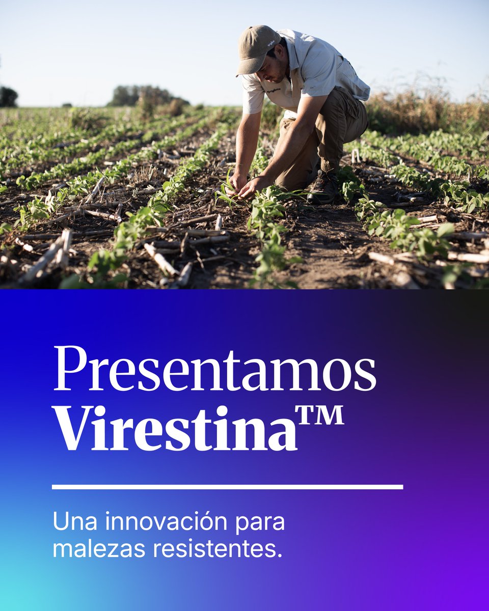 Syngenta Argentina tweet media