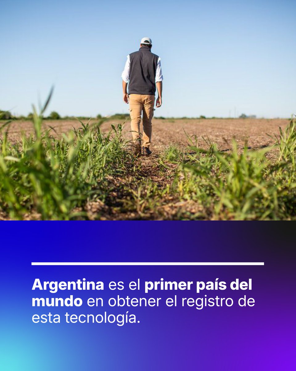 Syngenta Argentina tweet media