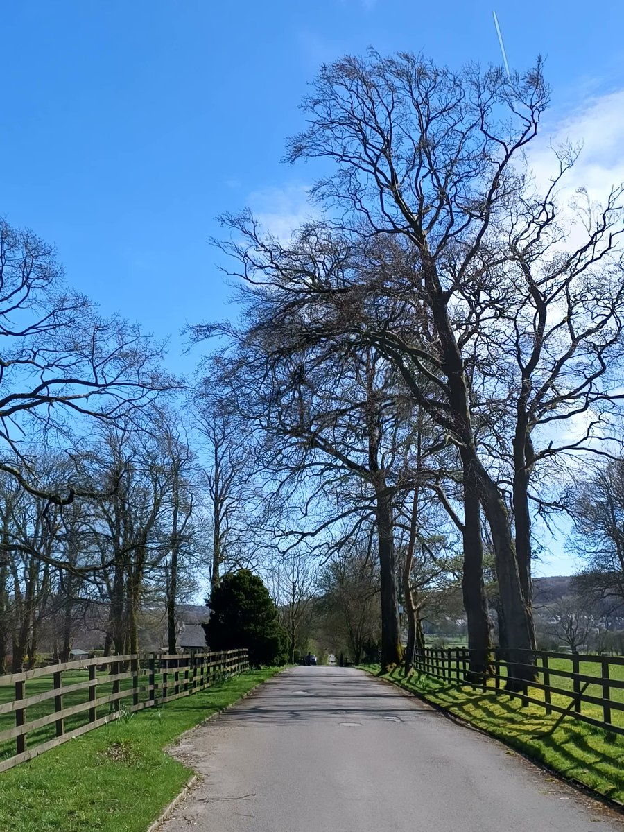 suttylass's tweet image. Bank Holiday in Buxton 🌞 🐣
#BankHolidayWeekend #EasterWalks