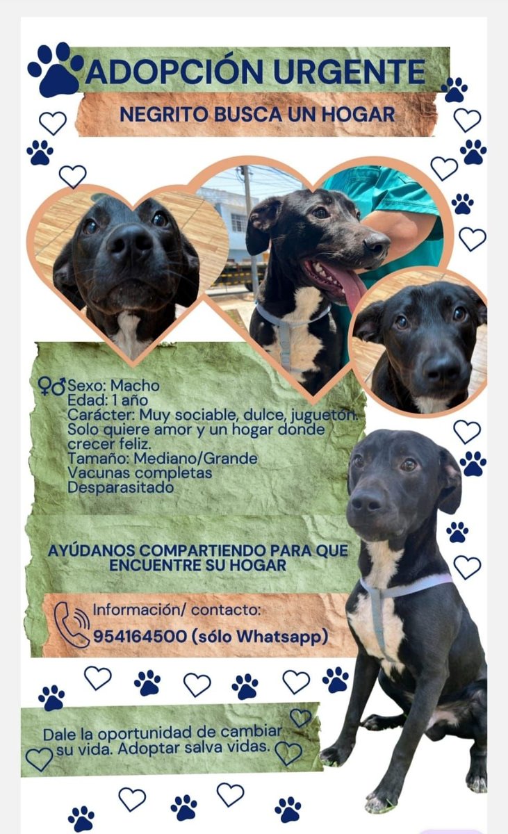 Gatánica tweet media