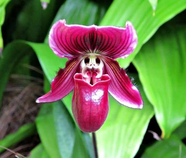 Roy Kelley tweet media