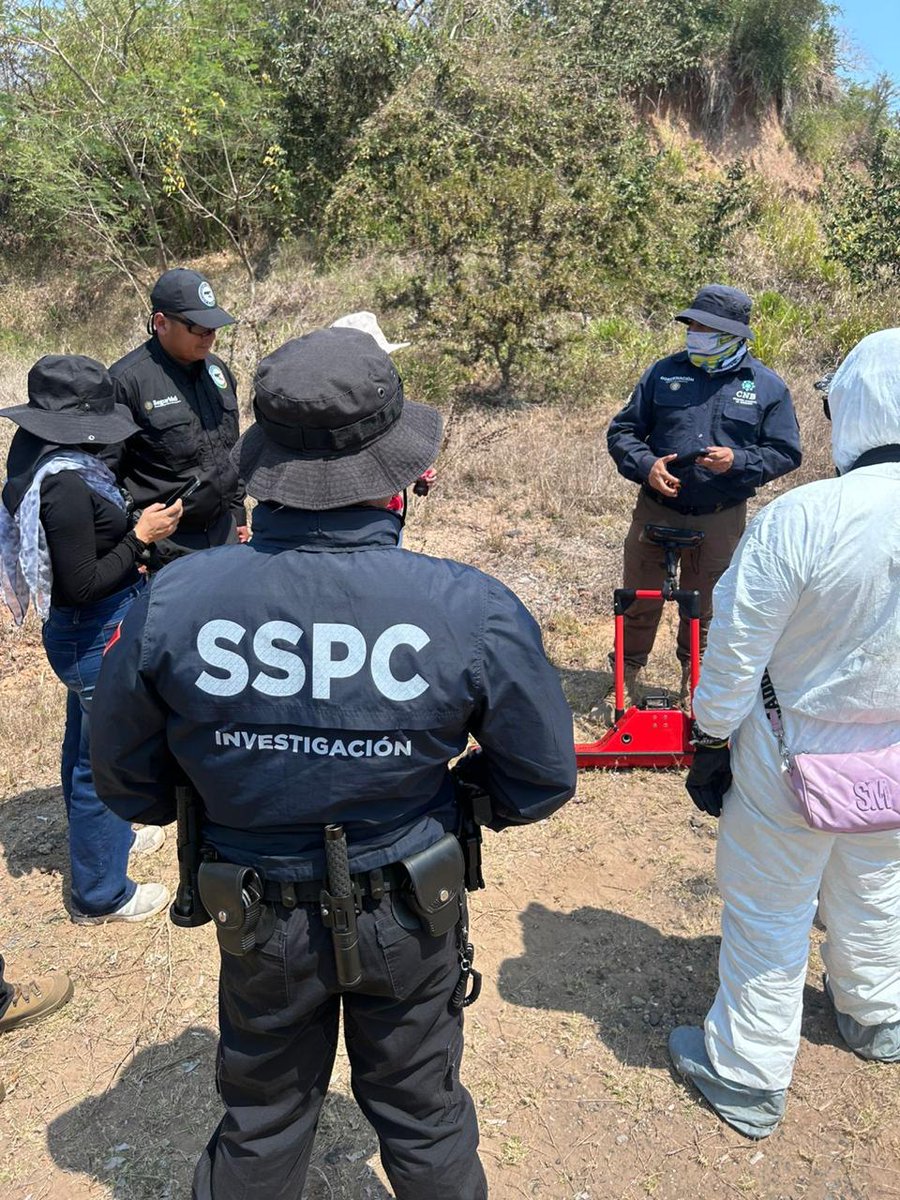 Comisión Nal. de Búsqueda Mx tweet media