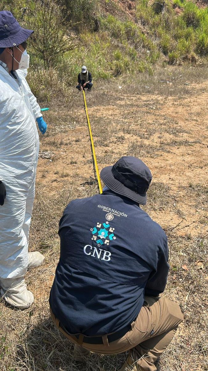 Comisión Nal. de Búsqueda Mx tweet media