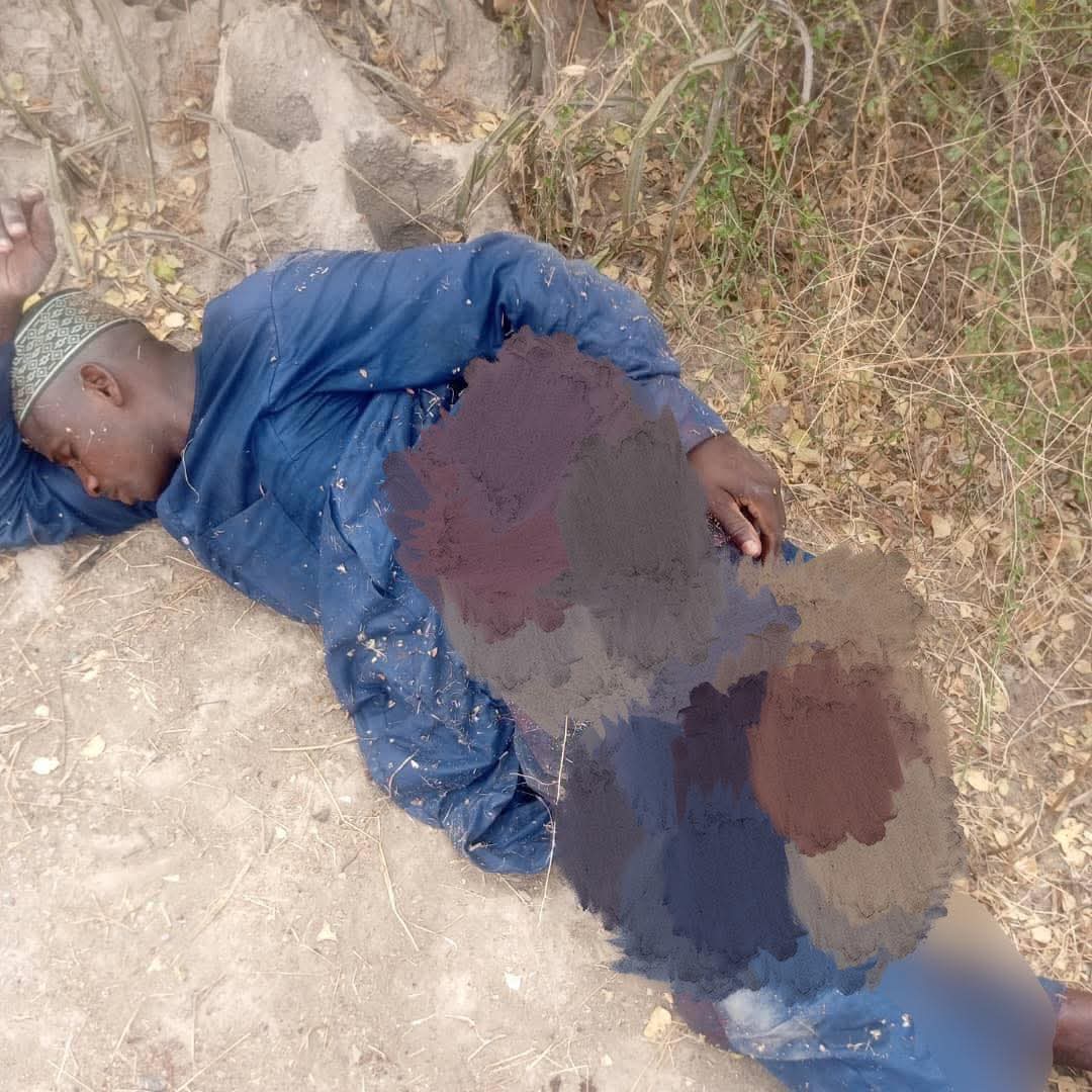 Humanity Purpose tweet media