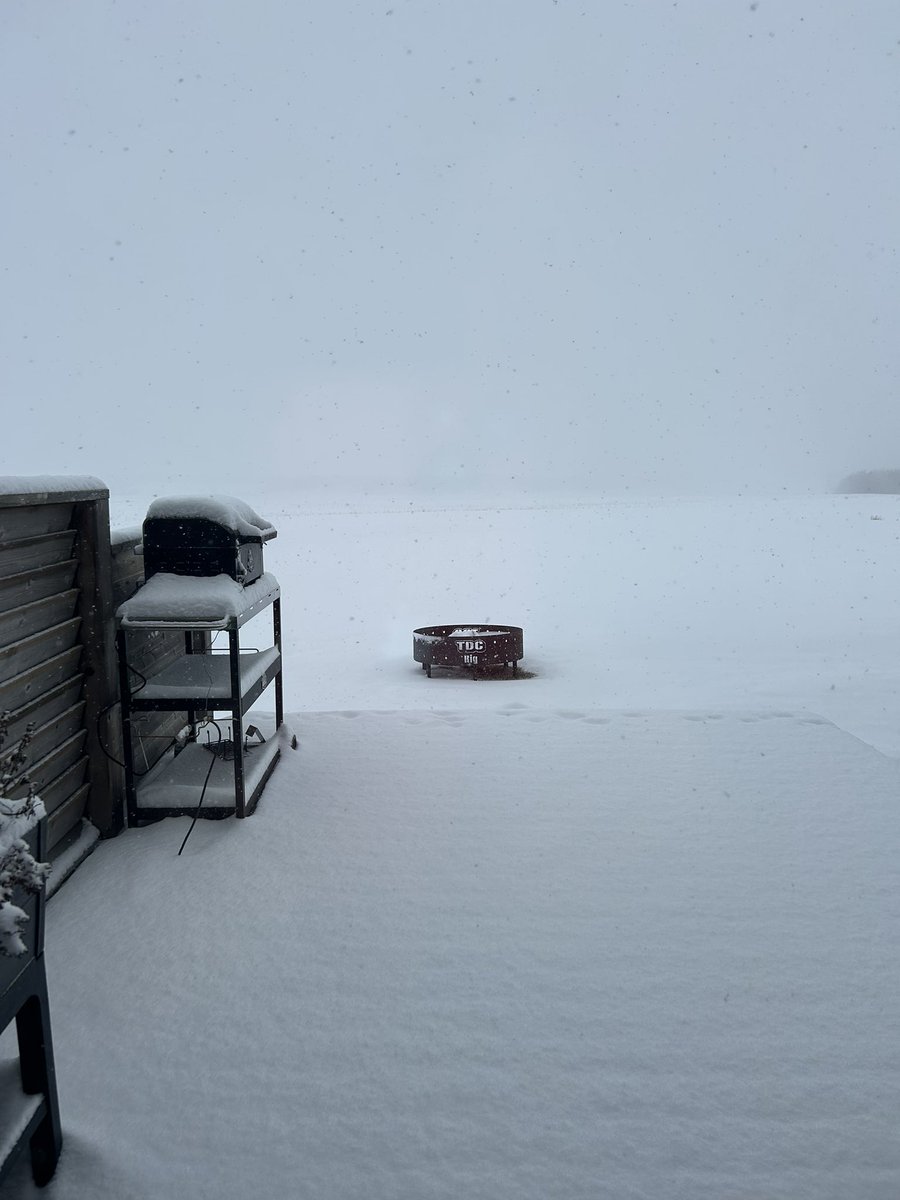 Coralee Prins tweet media