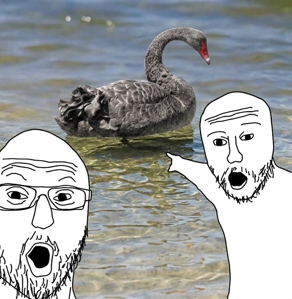 The gray swan theory is true!