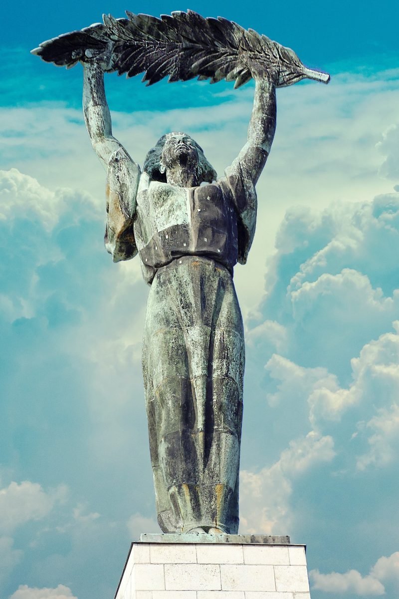 Tibor M. Kalman tweet media