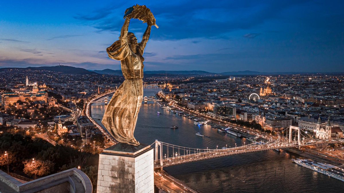 Tibor M. Kalman tweet media