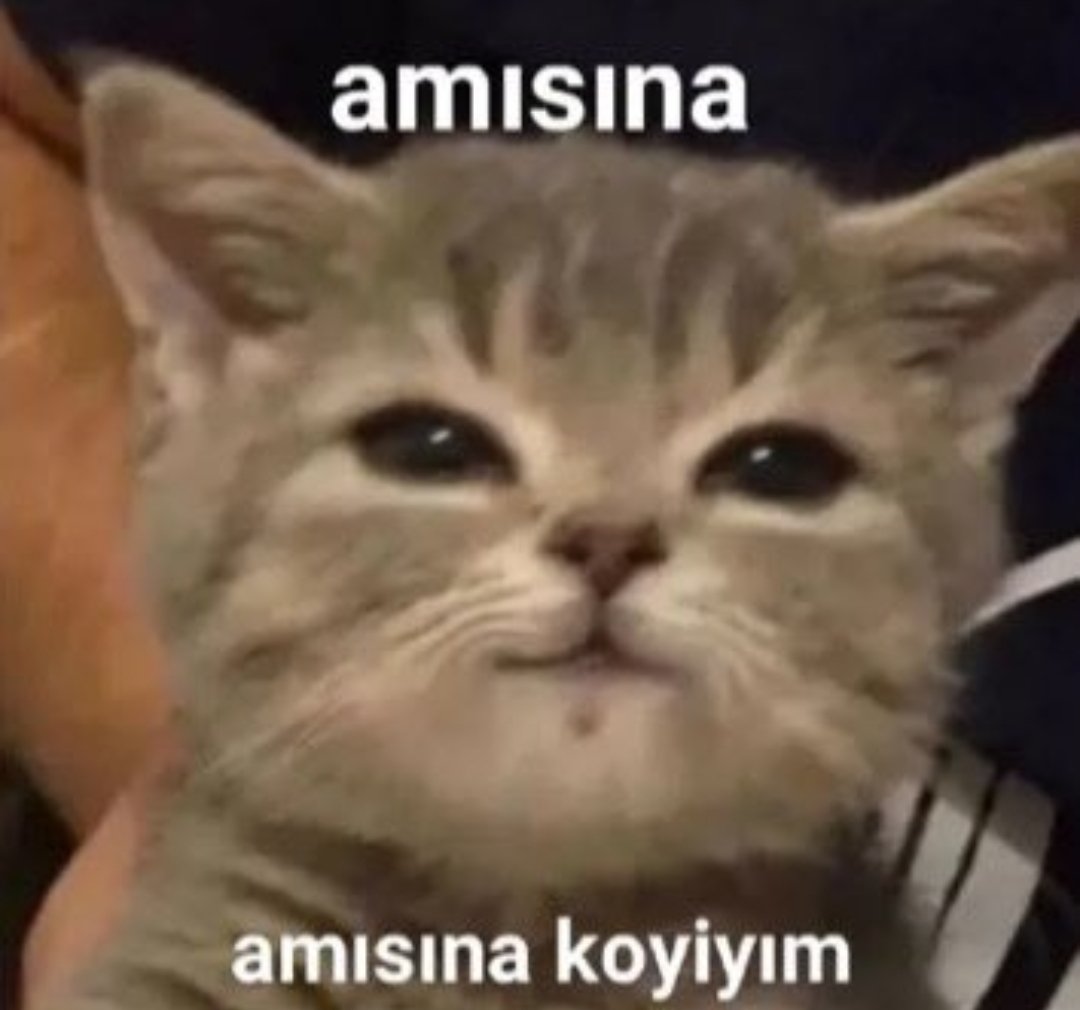 mantarcorbasi🏳‍🌈 tweet media