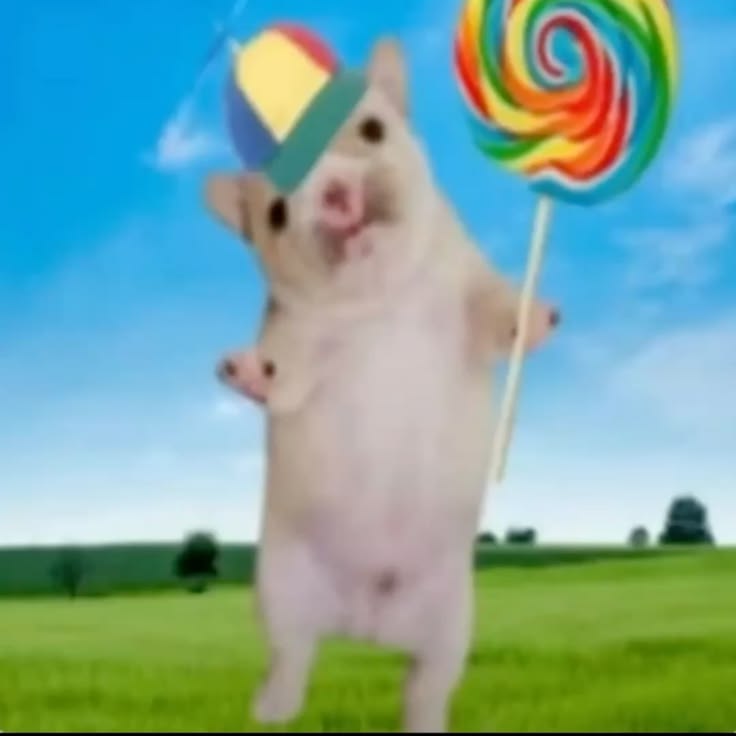 bugtenna tweet media