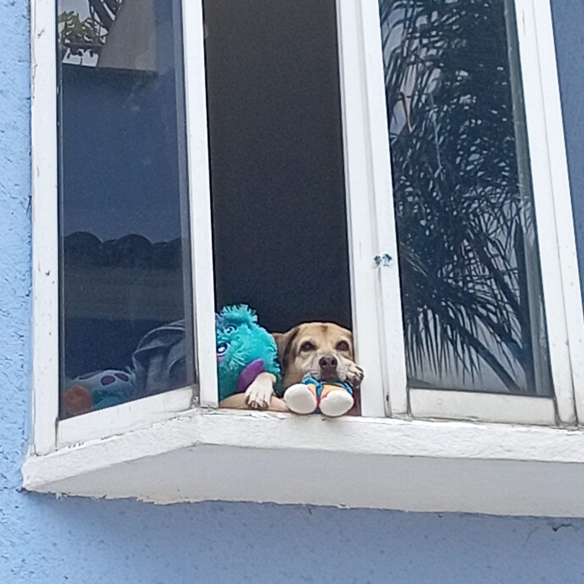 Nezumi 🇵🇸🍉 tweet media