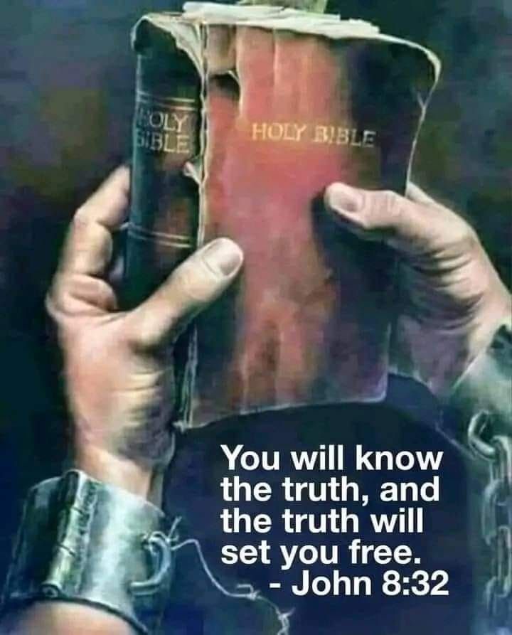 Kristy Williams tweet media