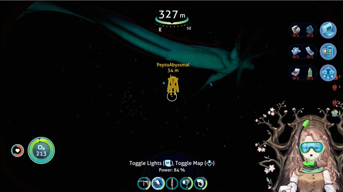 Kooky 🍪🌸🍃 tweet media