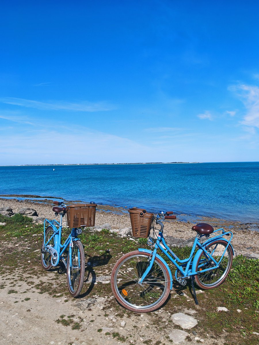 NHoonited's tweet image. À l'exemption de quelques kilomètres (bien agréables avec aussi la vue sur l'océan) dans les marais salants, toutes les pistes cyclables de #Ré longent des putains de départementales.

Je ne me promène pas à vélo pour entendre et subir le bruit des bagnoles !