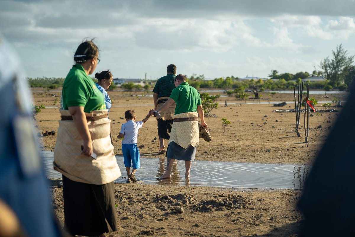 UNDP in Asia and the Pacific tweet media