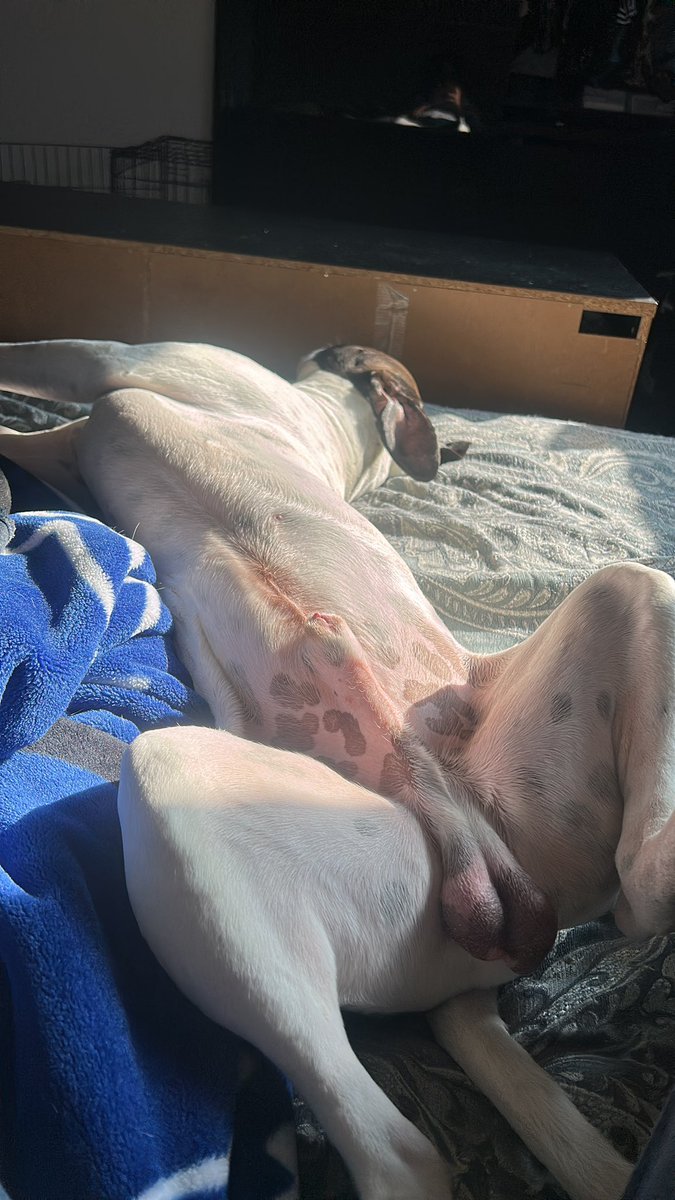 SERIOUSONE78 tweet media