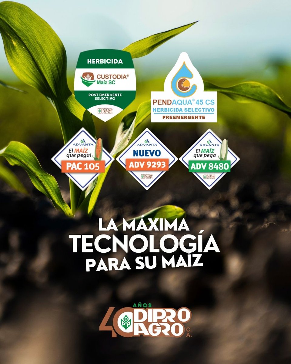 La 𝗧𝗲𝗰𝗻𝗼𝗹𝗼𝗴í𝗮 𝗖𝗢𝗠𝗣𝗥𝗢𝗕𝗔𝗗𝗔 de 𝘿𝙄𝙋𝙍𝙊𝘼𝙂𝙍𝙊 🌿 para #Maíz es 𝗚𝗮𝗿𝗮𝗻𝘁í𝗮 𝗱𝗲 𝗘𝘅𝗰𝗲𝗹𝗲𝗻𝘁𝗲𝘀 𝗥𝗲𝗻𝗱𝗶𝗺𝗶𝗲𝗻𝘁𝗼𝘀
Nuestras tecnologías para Maíz 🌽 aseguran los mejores resultados para su cosecha
📩 Contáctenos para más información
#Agro #Campo