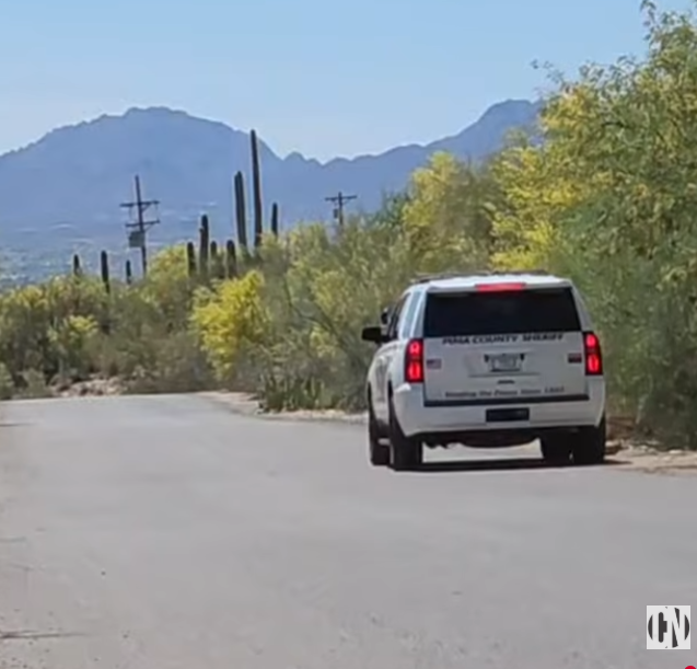 Where is Nancy Guthrie? tweet media