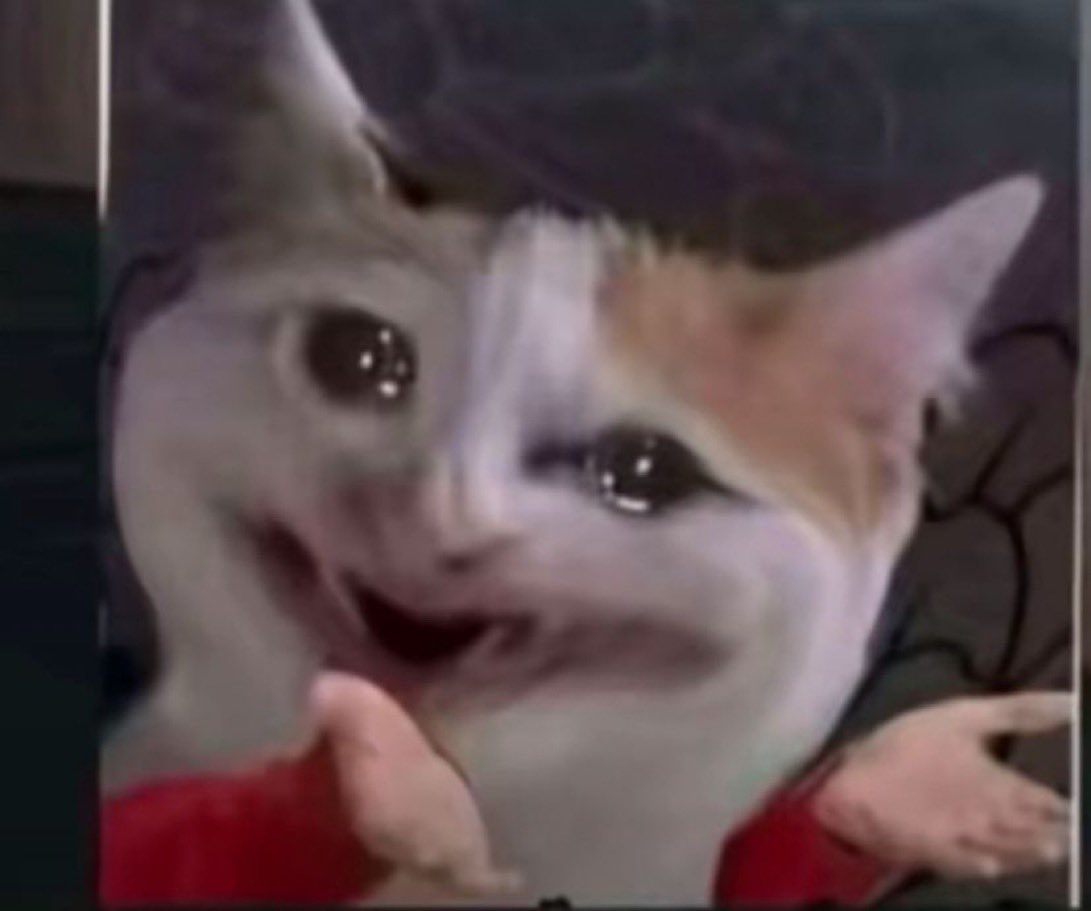 U K G 〽️ tweet media