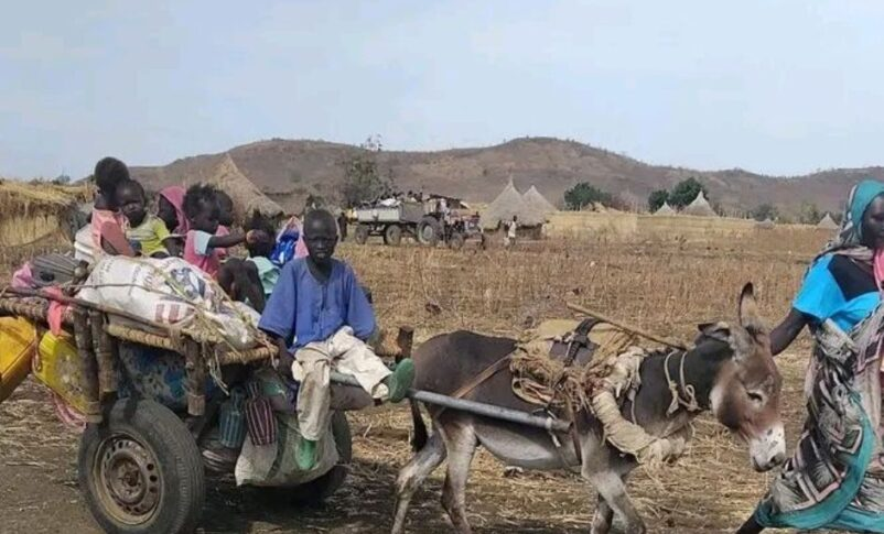 SudanTribune_EN's tweet photo. The UN reports that over 28,000 people have been displaced in Sudan’s Blue Nile State since January, following clashes in Baw and Al Kurmuk. With 87% of new IDPs in informal sites, the humanitarian situation in Ed Damazin is critical.
#Sudan #Blue Nile #HumanitarianCrisis 🇸🇩

https://t.co/lKkT5852dk