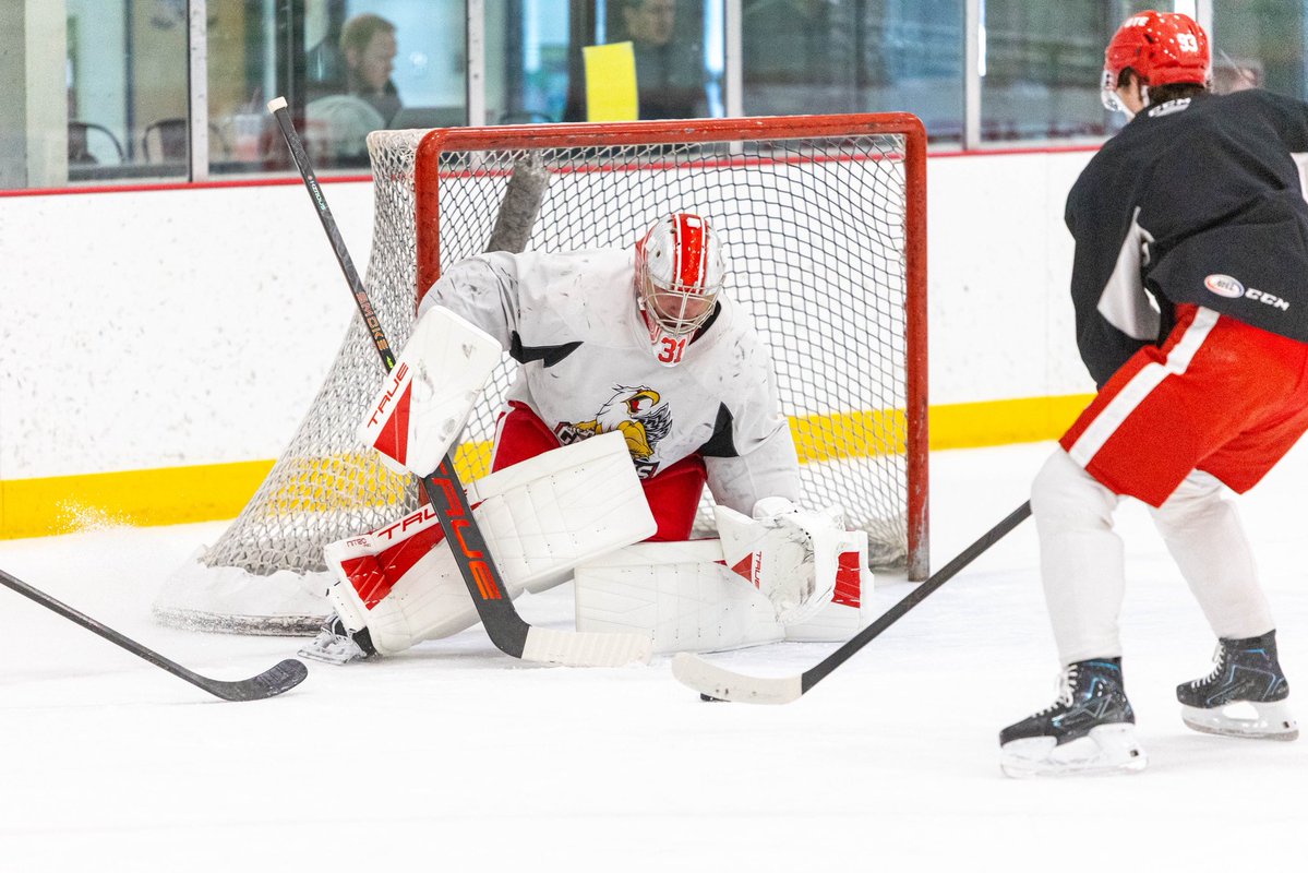 y-Grand Rapids Griffins tweet media