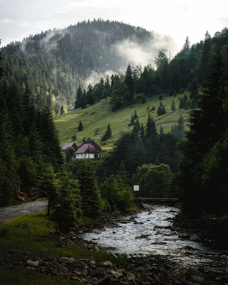 Valhrólf 𐀏🌲🌄 tweet media