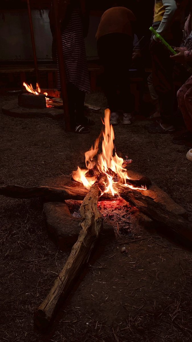 Valhrólf 𐀏🌲🌄 tweet media