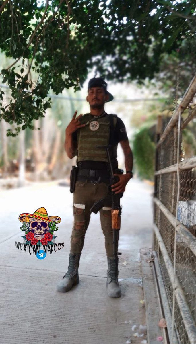 Mexican narcos tweet media