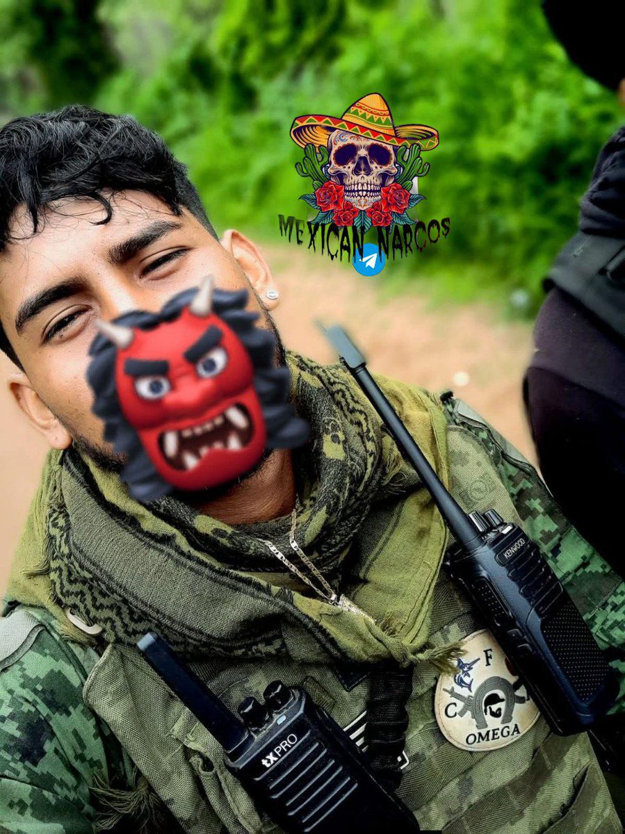 Mexican narcos tweet media